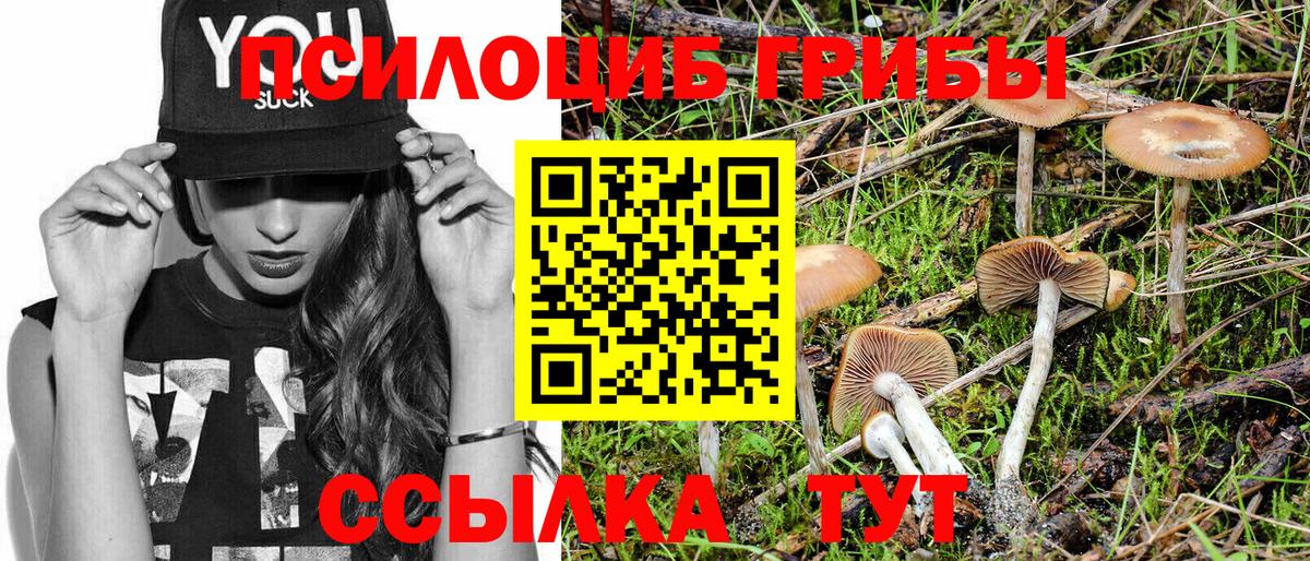 Железногорск  Псилоцибиновые грибы мухоморы  Вход с VPN 