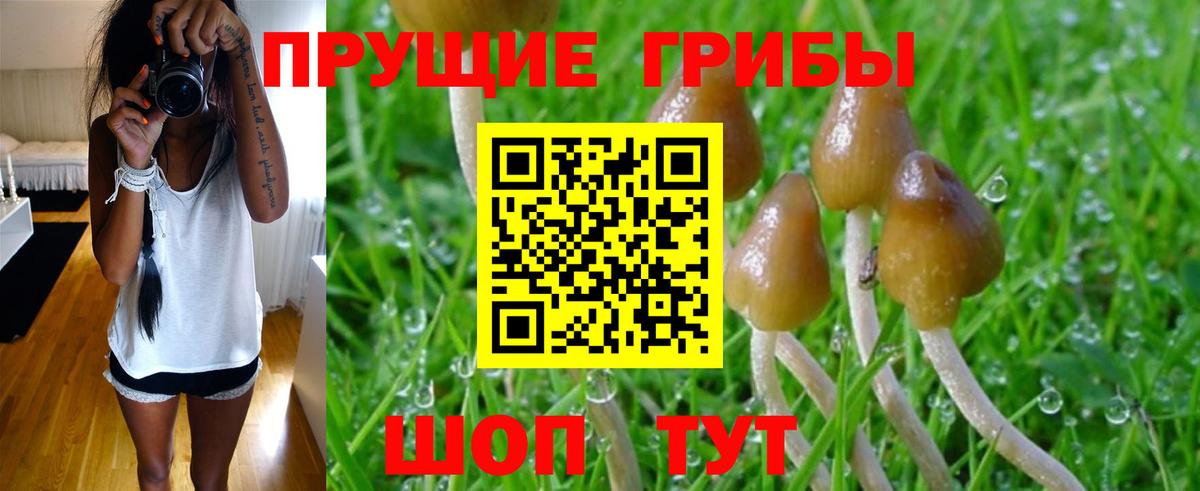 Галлюциногенные грибы Magic Shrooms Железногорск